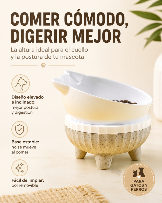 Comedero Doble Elevado para Mascotas — Mejor Postura y Digestión