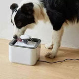 Fuente de Agua para Mascotas 2L — Agua Fresca y en Movimiento Todo el Día