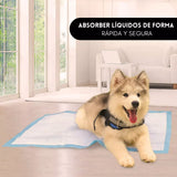Empapadores de Entrenamiento para Mascotas — Adiós a los Accidentes en Casa