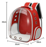 Mochila Transportadora para Mascotas (Gris) — Llévalo Contigo a Todos Lados