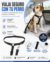Correa Retráctil para Perros — Paseos Cómodos y con Total Control