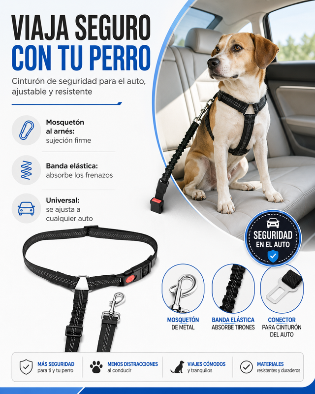 Correa Retráctil para Perros — Paseos Cómodos y con Total Control
