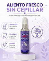 Spray Bucal para Mascotas — Adiós al Mal Aliento en Segundos