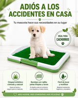 Tapete Limpia Patas para Mascotas — Adiós a las Huellas de Barro en Casa