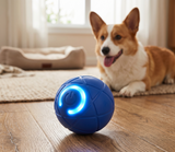 Pelota Saltarina Interactiva para Perros — Horas de Juego y Ejercicio