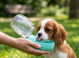 Botella Bebedero Portátil para Mascotas — Hidratación en Cada Salida