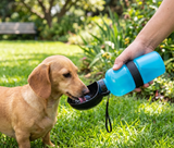 Botella Bebedero Portátil para Paseos — Hidrata a tu Mascota Donde Sea